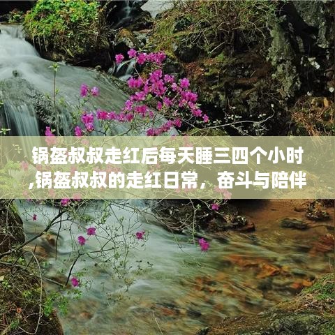 锅盔叔叔走红日常，奋斗与陪伴的温馨交响曲，每日忙碌背后的故事