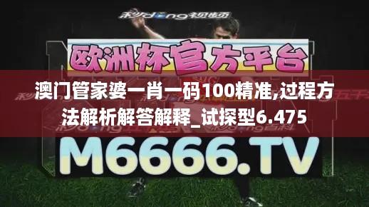 澳门管家婆一肖一码100精准,过程方法解析解答解释_试探型6.475