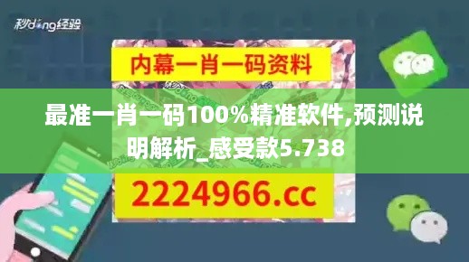 最准一肖一码100%精准软件,预测说明解析_感受款5.738