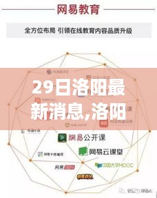 洛阳深度评测报告，特性、体验、对比与用户群体分析