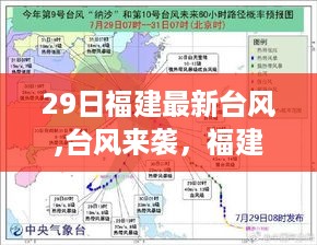 福建台风来袭之际，扬帆知识海洋，学习铸就自信与成就