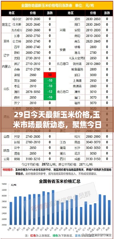 今日玉米市场深度解析，最新价格走势与动态分析