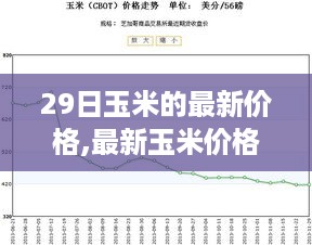 最新玉米价格走势分析，市场波动、未来展望及29日实时价格更新