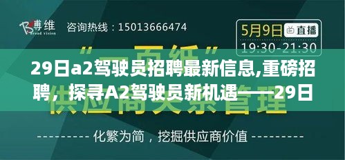 探寻A2驾驶员新机遇，最新招聘解析重磅发布，29日招聘信息一览