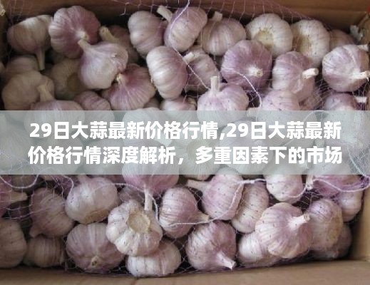 大蒜最新价格行情深度解析，多重因素下的市场观察与个人见解