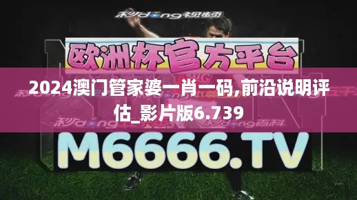 2024澳门管家婆一肖一码,前沿说明评估_影片版6.739