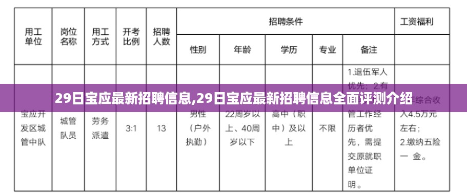 宝应最新招聘信息全解析，29日岗位速递与评测介绍