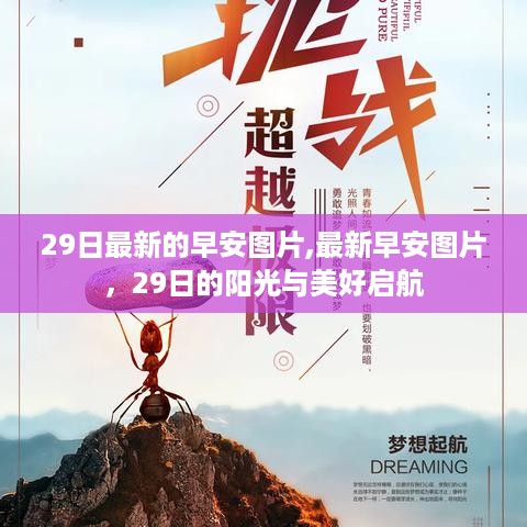 最新早安图片分享，阳光启航，美好从29日开始