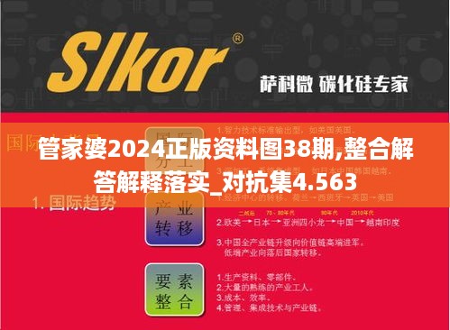 管家婆2024正版资料图38期,整合解答解释落实_对抗集4.563