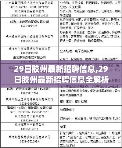 29日胶州最新招聘信息全解析，职场人的福音