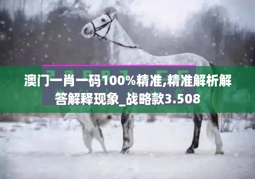 澳门一肖一码100%精准,精准解析解答解释现象_战略款3.508