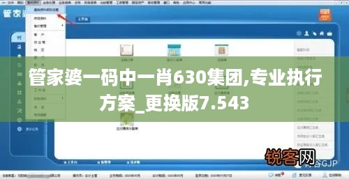 管家婆一码中一肖630集团,专业执行方案_更换版7.543