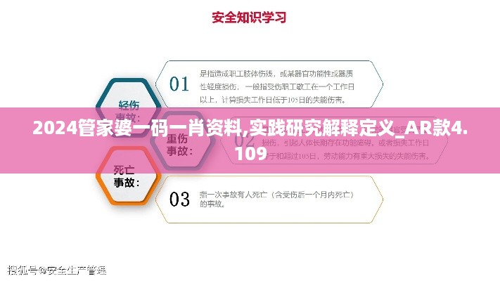 2024管家婆一码一肖资料,实践研究解释定义_AR款4.109