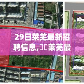 29日莱芜最新招聘信息全解析，行业风向标与招聘盛况