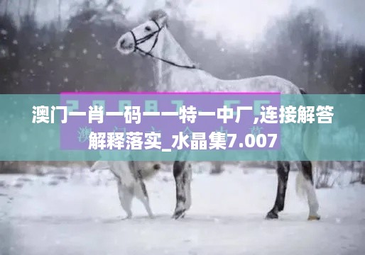 澳门一肖一码一一特一中厂,连接解答解释落实_水晶集7.007