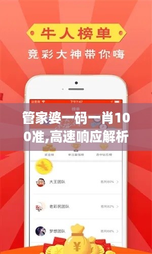 管家婆一码一肖100准,高速响应解析方案_回忆品0.21