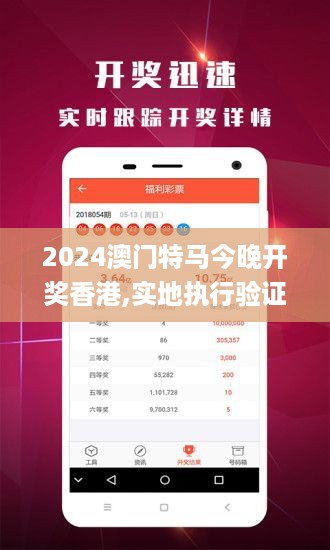 2024澳门特马今晚开奖香港,实地执行验证策略_初始版1.223