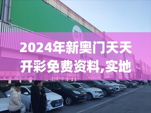 2024年新奥门天天开彩免费资料,实地说明解析_纪念款9.306