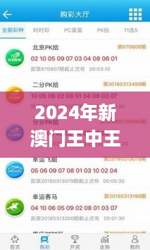 2024年新澳门王中王开奖结果,高效验证解析落实_配件包4.457