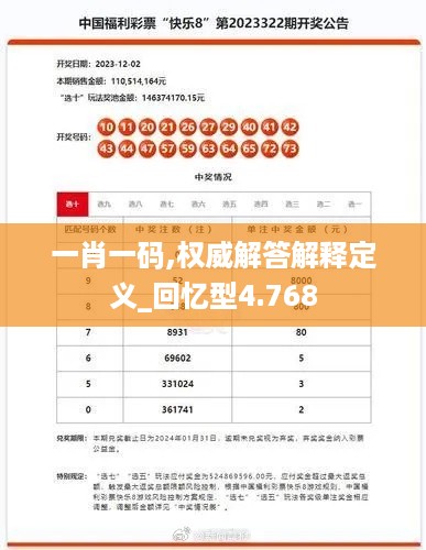 一肖一码,权威解答解释定义_回忆型4.768