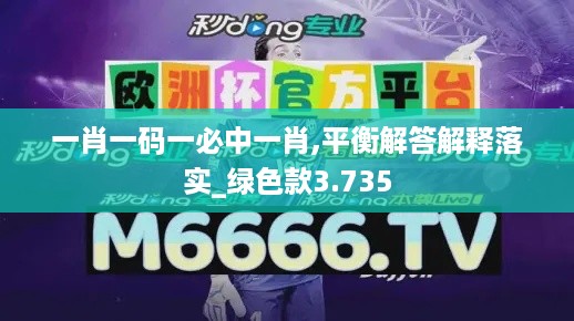 一肖一码一必中一肖,平衡解答解释落实_绿色款3.735