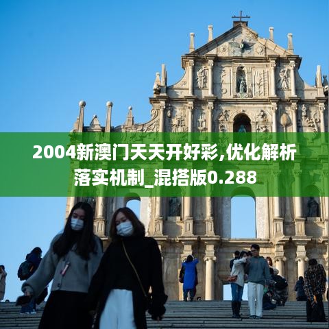 2004新澳门天天开好彩,优化解析落实机制_混搭版0.288