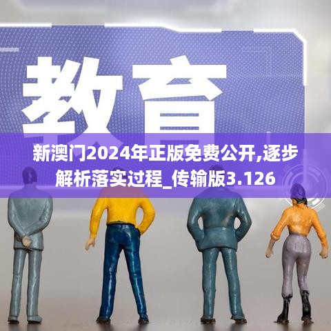 新澳门2024年正版免费公开,逐步解析落实过程_传输版3.126