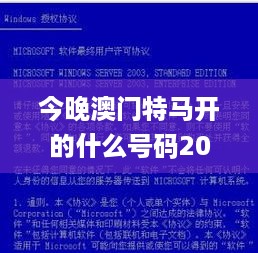 今晚澳门特马开的什么号码2024,明智解答解释落实_试行版4.661