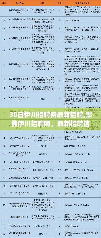 伊川招聘网最新招聘信息解读与求职指南