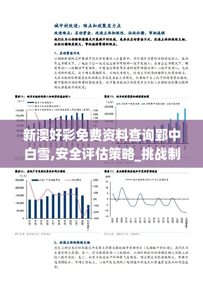 新澳好彩免费资料查询郢中白雪,安全评估策略_挑战制0.871