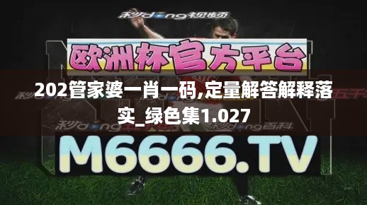 202管家婆一肖一码,定量解答解释落实_绿色集1.027