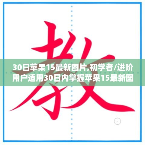 苹果15最新图片获取与处理技巧全攻略，适合初学者与进阶用户的30日学习指南