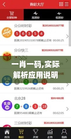 一肖一码,实际解析应用说明_广告款1.004