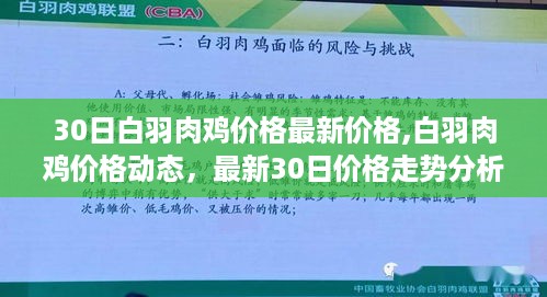 最新白羽肉鸡价格动态及走势分析报告，30日价格走势分析