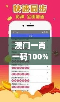 澳门一肖一码100%精准王中王,高效解答解释规划_速捷版7.121