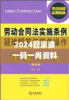 2024管家婆一码一肖资料,耐心解释解答落实_VP4.839