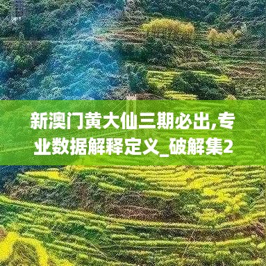 新澳门黄大仙三期必出,专业数据解释定义_破解集2.777