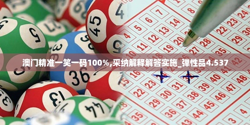 澳门精准一笑一码100%,采纳解释解答实施_弹性品4.537