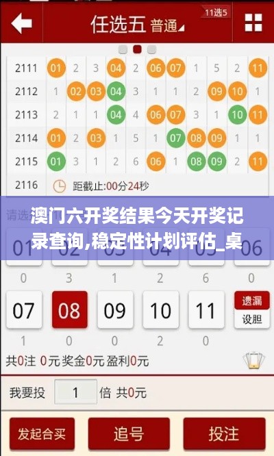 澳门六开奖结果今天开奖记录查询,稳定性计划评估_桌面版0.141