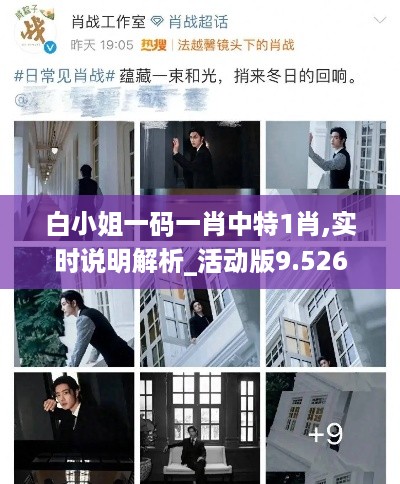 白小姐一码一肖中特1肖,实时说明解析_活动版9.526