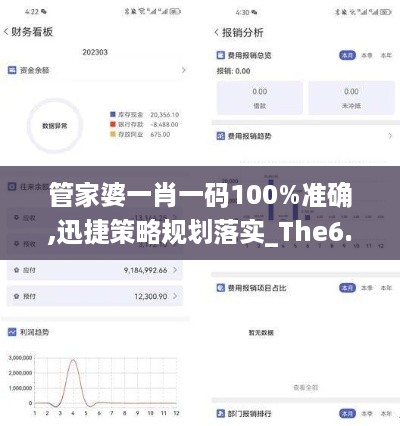 管家婆一肖一码100%准确,迅捷策略规划落实_The6.141