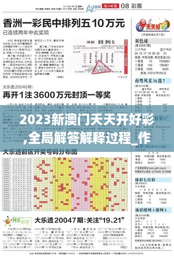 2023新澳门天天开好彩,全局解答解释过程_作战版1.743