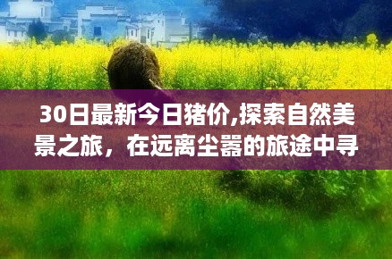 探索自然美景之旅，最新猪价与心灵宁静的远离尘嚣之旅