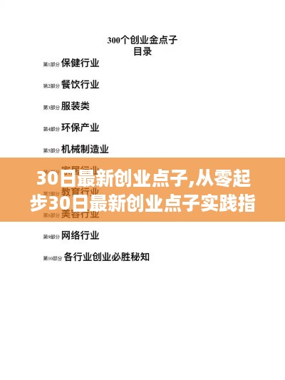 从零起步的创业实践指南，挖掘首个创业金矿的30日最新点子