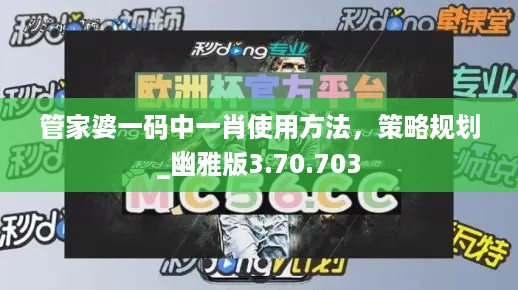 管家婆一码中一肖使用方法，策略规划_幽雅版3.70.703