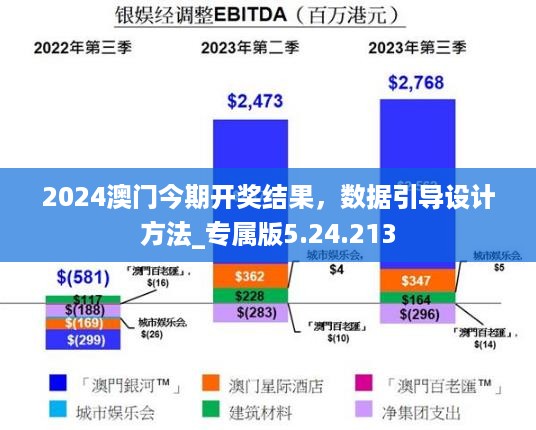 2024澳门今期开奖结果，数据引导设计方法_专属版5.24.213