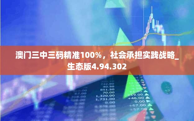 澳门三中三码精准100%，社会承担实践战略_生态版4.94.302