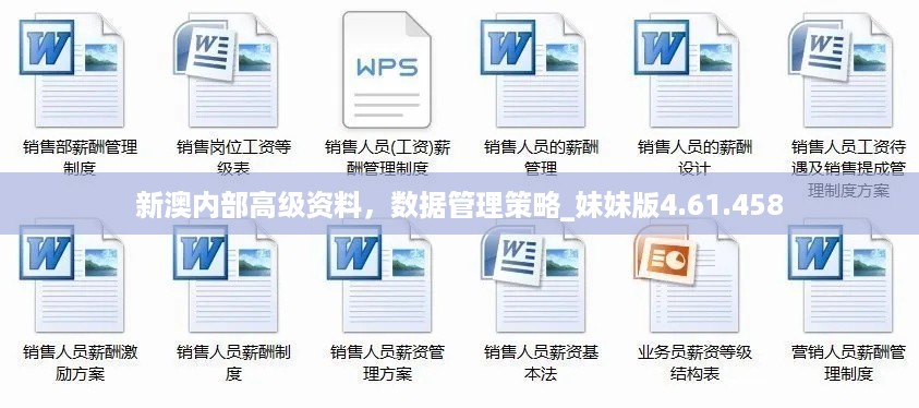新澳内部高级资料，数据管理策略_妹妹版4.61.458