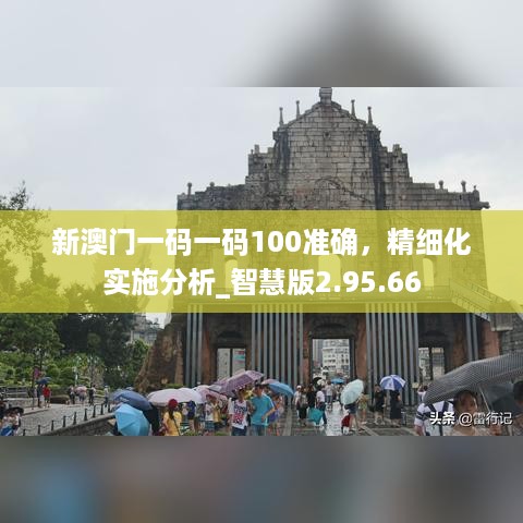 新澳门一码一码100准确，精细化实施分析_智慧版2.95.66