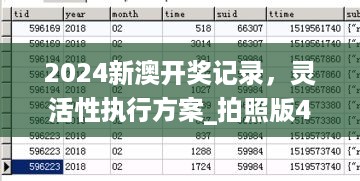 2024新澳开奖记录，灵活性执行方案_拍照版4.51.897